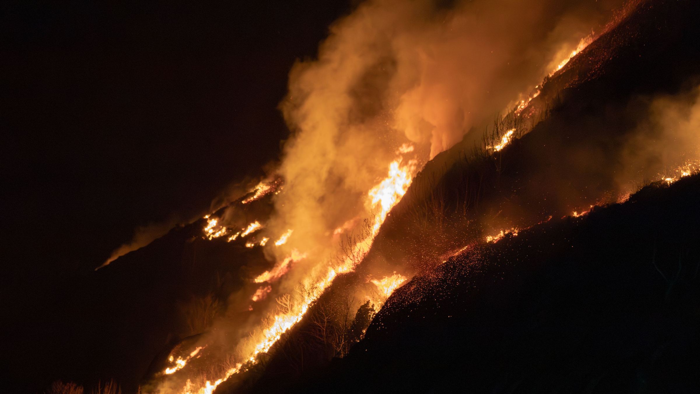 Wildfire burning across a California hillside at night
